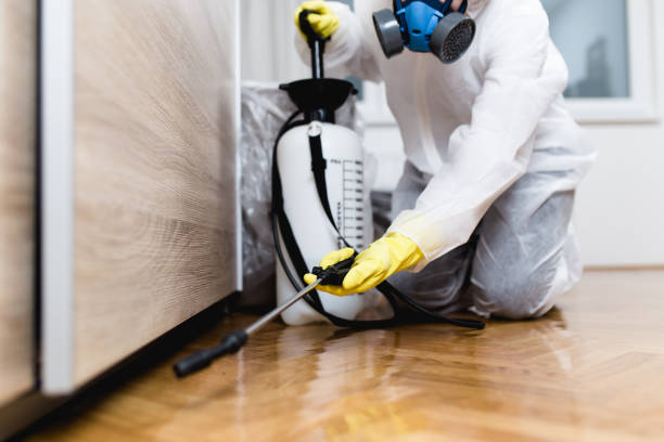 Trusted Morada, CA Pest Control Experts