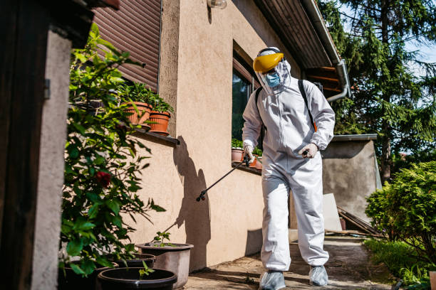 Best Pest Control Near Me  in Morada, CA