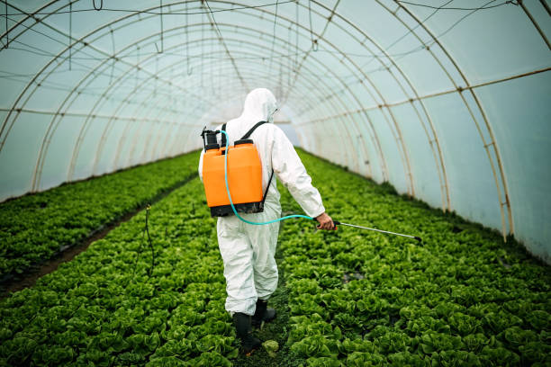 Best Pest Inspection Near Me  in Morada, CA