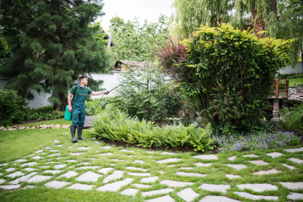 Best Affordable Pest Control Services  in Morada, CA