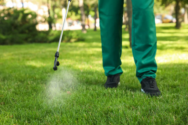 Best Wildlife Control Services  in Morada, CA
