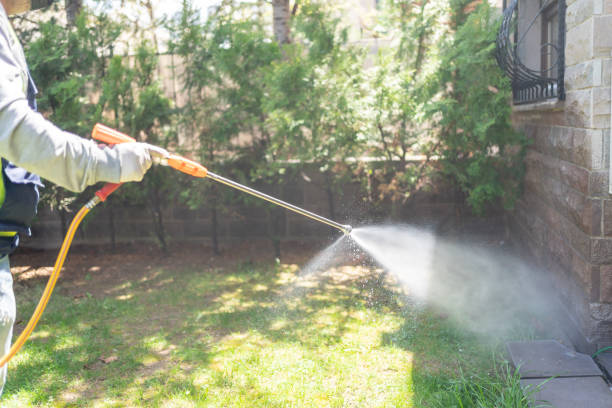 Best Local Pest Control Services  in Morada, CA