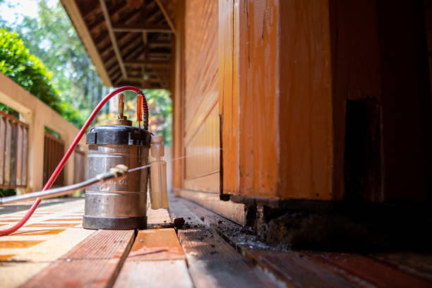 Best Affordable Pest Control Services  in Morada, CA