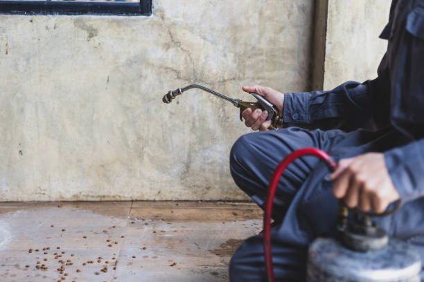 Best Emergency Pest Control  in Morada, CA